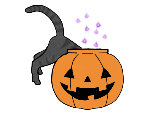 Halloween Cat in Pumpkin Fun Sticker