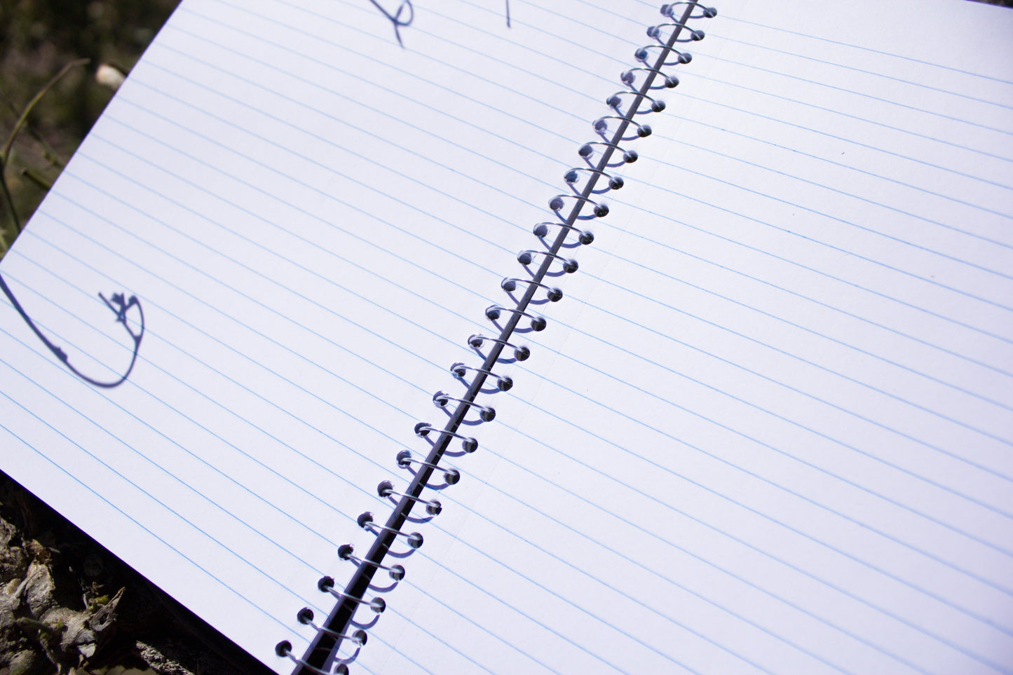 Celestial Bullet Journal Notebook